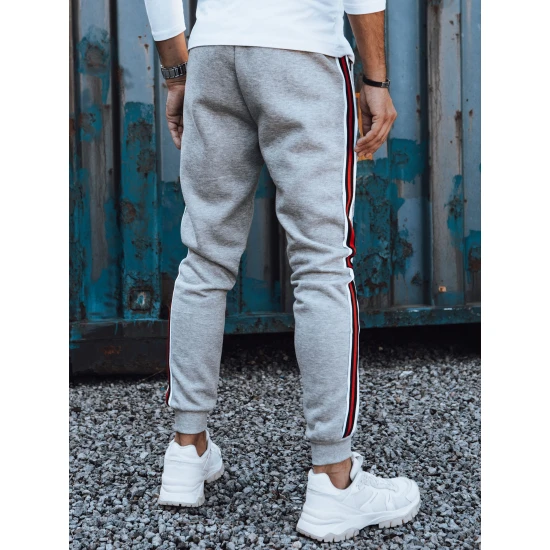 Vīriešu gaiši pelēkas ikdienas bikses Adam UX4426