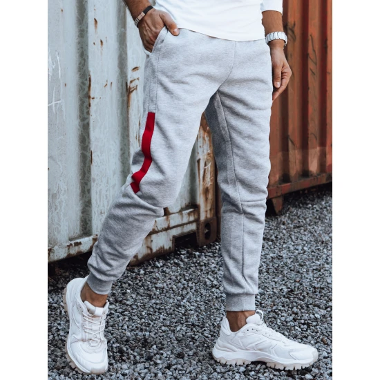 Vīriešu gaiši pelēkas ikdienas bikses Finn UX4420