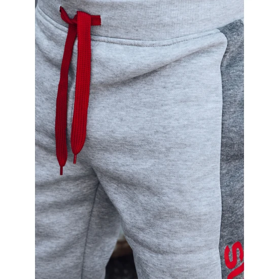 Vīriešu gaiši pelēkas ikdienas bikses Finn UX4420