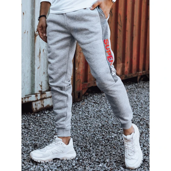 Vīriešu gaiši pelēkas ikdienas bikses Finn UX4420