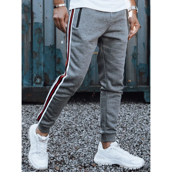 Vīriešu tumši pelēkas ikdienas bikses Adam UX4425