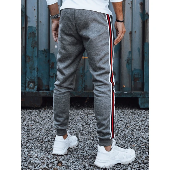 Vīriešu tumši pelēkas ikdienas bikses Adam UX4425