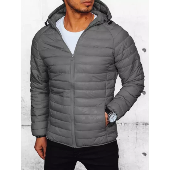 Vīriešu pelēka jaka Serg TX4422