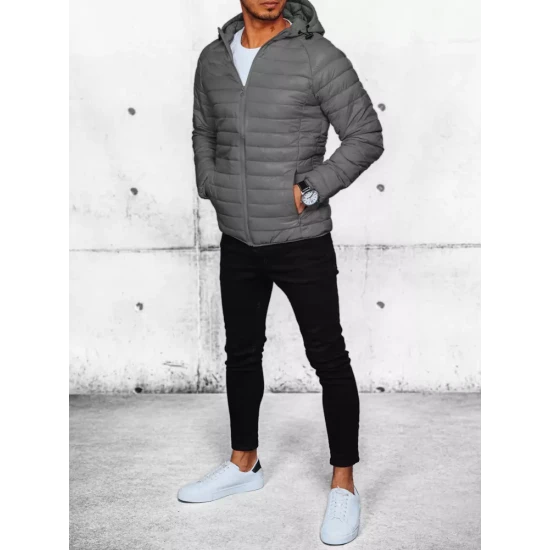 Vīriešu pelēka jaka Serg TX4422