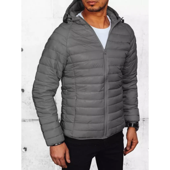 Vīriešu pelēka jaka Serg TX4422