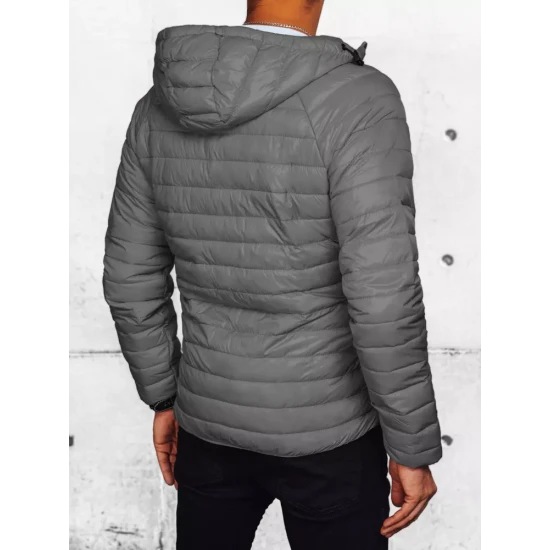 Vīriešu pelēka jaka Serg TX4422