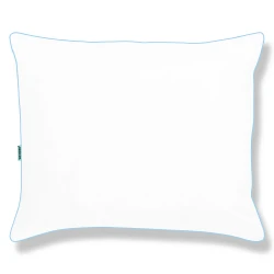 Spilvens 70x80 Gadalaiki