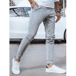 Vīriešu gaiši pelēkas ikdienas bikses Denil