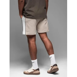 Vīriešu brūnas bikses Edman