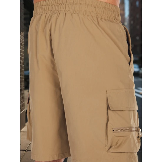 Brūni vīriešu šorti Stone SX2505