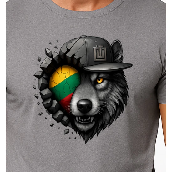 Vīriešu pelēks T-krekls Wolf grey PK4031