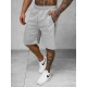 Vīriešu pelēkie sporta šorti Novak JS/15K1822/2