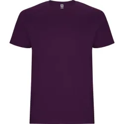 Vīriešu violets krekls Stafford