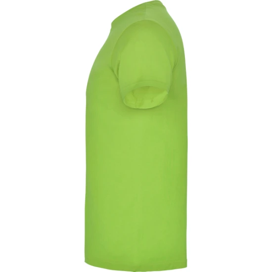 Vīriešu gaiši zaļš Beagle T-krekls T-krekls | Polo Roly