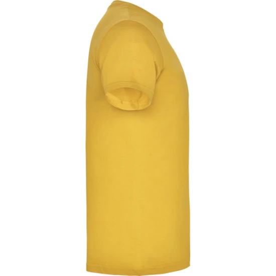 Vīriešu iedeguma Beagle T-krekls T-krekls | Polo Roly