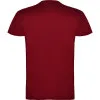 Vīriešu bordo krāsas krekls Beagle T-krekls | Polo Roly