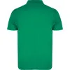 Vīriešu zaļš polo krekls Austral T-krekls | Polo Roly