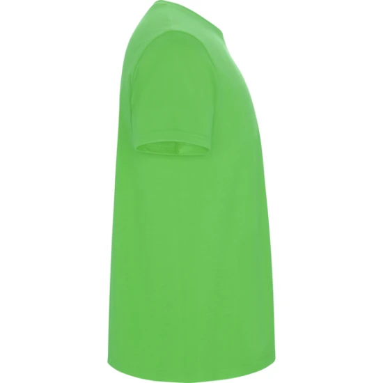 Vīriešu salātu krekls Stafford T-krekls | Polo Roly