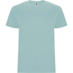 Vīriešu piparmētru Stafford krekls