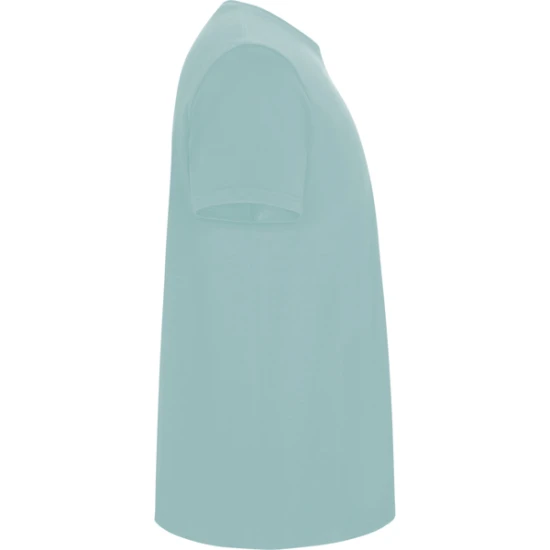 Vīriešu piparmētru Stafford krekls T-krekls | Polo Roly