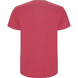 Men's pink shirt Stafford