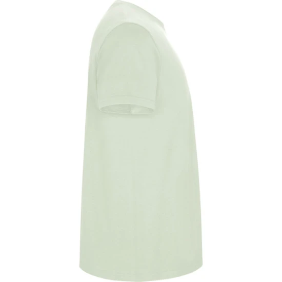 Bērnu piparmētru Stafford T-krekls T-krekls | Polo Roly