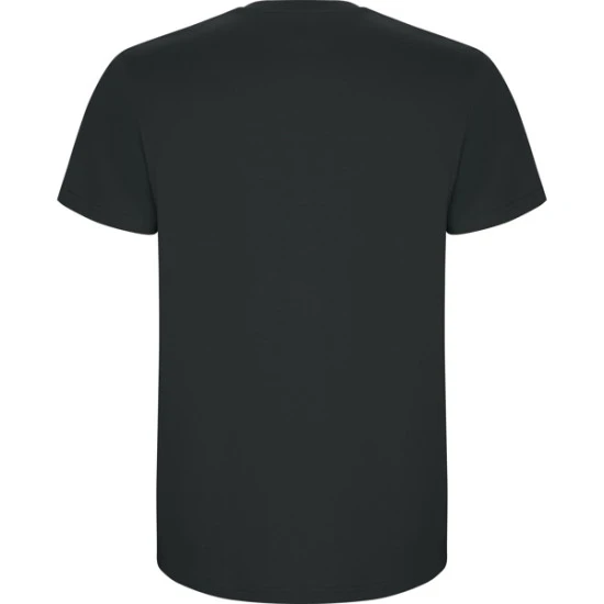 Vīriešu tumši pelēks krekls Stafford T-krekls | Polo Roly