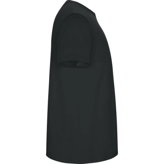 Vīriešu tumši pelēks krekls Stafford T-krekls | Polo Roly