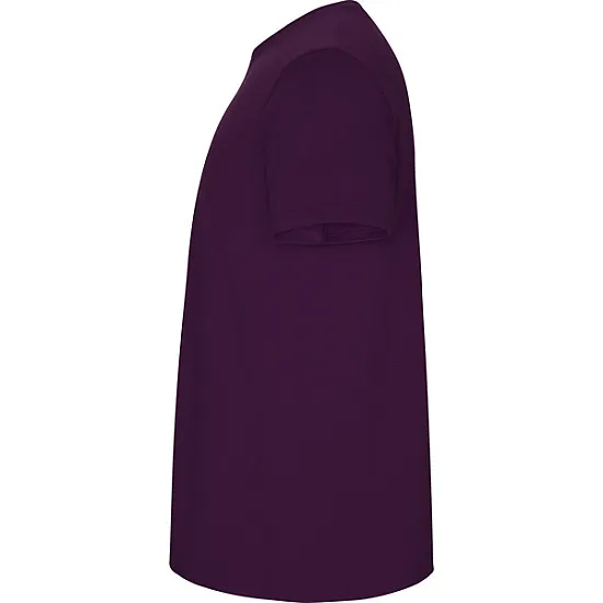 Vīriešu violets krekls Stafford T-krekls | Polo Roly