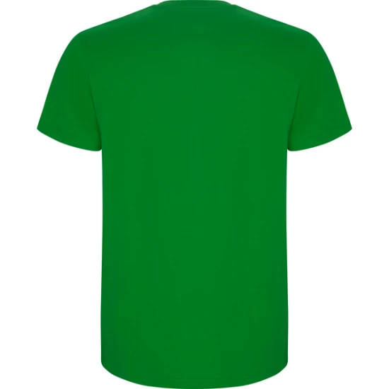 Vīriešu zaļš krekls Stafford T-krekls | Polo Roly