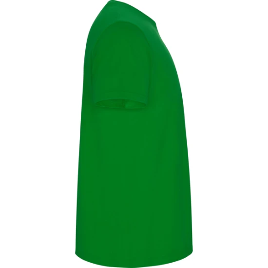 Vīriešu zaļš krekls Stafford T-krekls | Polo Roly