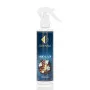 Automašīnu un mājas smaržas Nr. 630 - GOOD LADY 150 ML