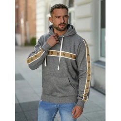 Vīriešu pelēks džemperis Rings