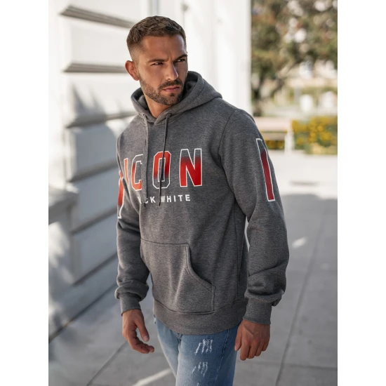 Vīriešu pelēks džemperis Icon2 Džemperi ar kapuci