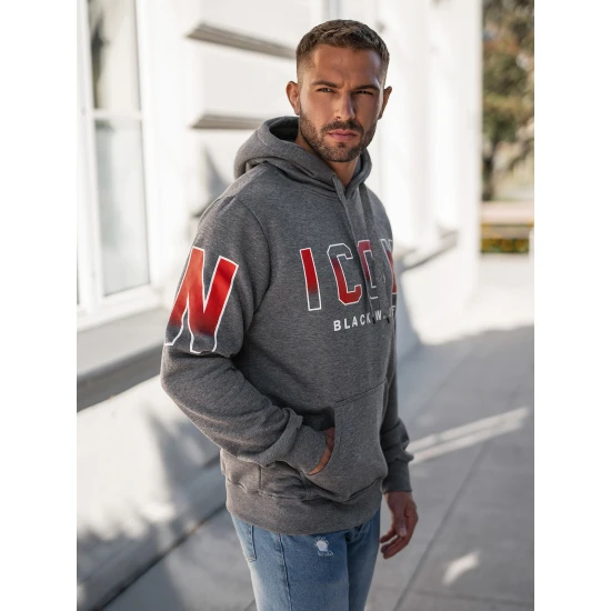 Vīriešu pelēks džemperis Icon2 Džemperi ar kapuci