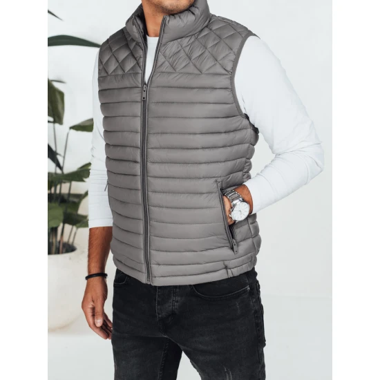 Vīriešu pelēkā veste Geir Vestes