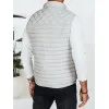 Vīriešu gaiši pelēka veste Geir Vestes