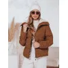 Sieviešu brūna ziemas jaka Trendy Sieviešu jakas