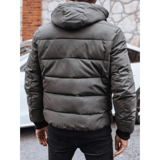 Vīriešu pelēka ziemas jaka Tamil Ziemas jakas