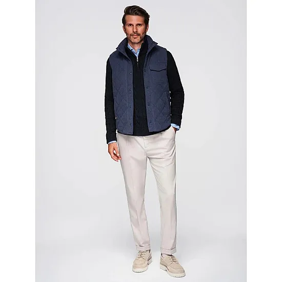 Meeste tumesinine vest Janex Vestid
