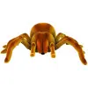Tarantula Brown R/C Infrasarkanais zirneklis ar tālvadību Radio vadāmās rotaļlietas