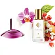 No31 smaržas, ko iedvesmojis Calvin Klein - Euphoria Forbidden 104 ml