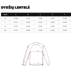 Vīriešu tumši pelēks džemperis Wilson