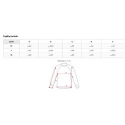 Vīriešu tumši zils džemperis Austin