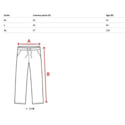 Vīriešu pelēkas ikdienas bikses Anton