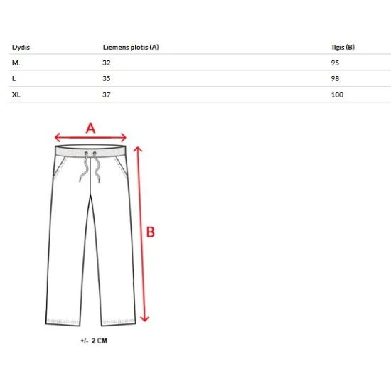Vīriešu tumši zilas ikdienas bikses Anton Gadījuma bikses