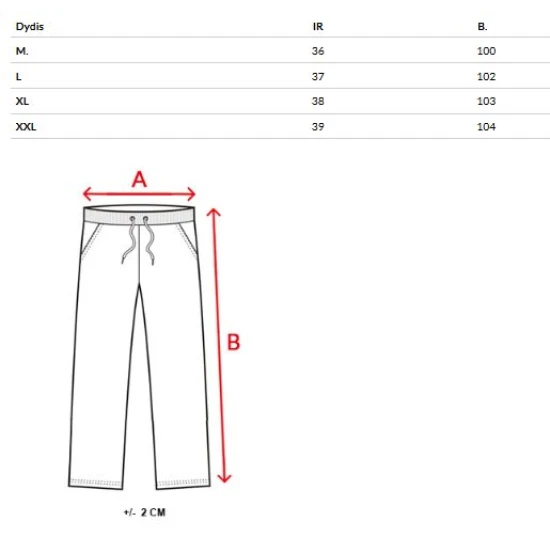 Vīriešu tumši pelēkas ikdienas bikses Rebel Gadījuma bikses