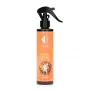 Auto un mājas smaržas Nr435 - BETTER WITH YOU 150 ML