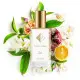 Nr. 26 smaržas, ko iedvesmojis Tommy Hilfiger - Peach Blossom 104 ml