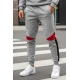 Vīriešu pelēkas ikdienas bikses Anton